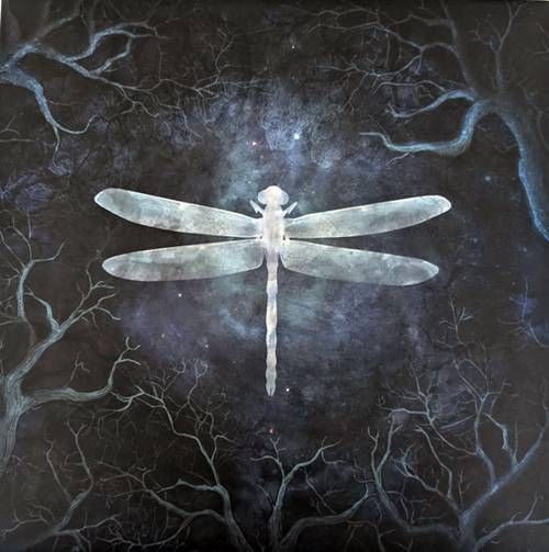 Amethystium – Odonata 2LP (2001) 20th Anniversary Edition Amethystium – Odonata 2LP (2001) 20th Anniversary Edition